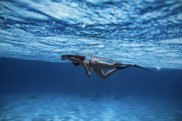 snorkeling skin diver