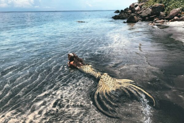 divetails mermaid PADI